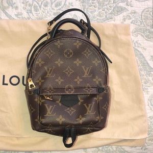 Louis Vuitton Palm Springs Mini Back Pack